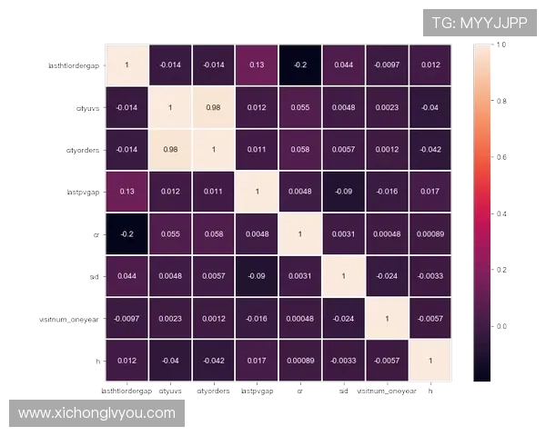 从零起步打造羽毛球团队协作的全面指南与实战技巧分享