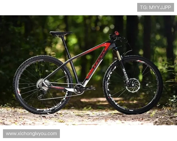 广州滑板队在极限运动世界杯积分榜中以59分稳居第一名